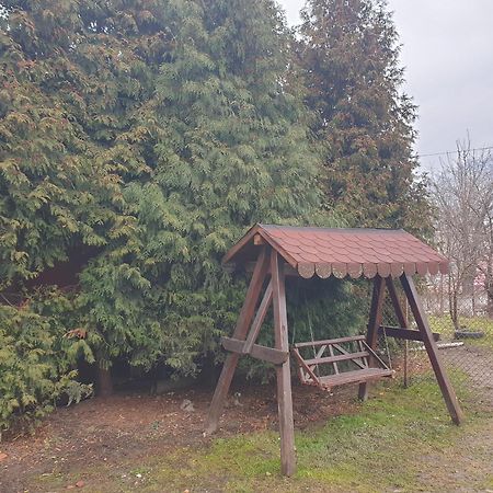 Vila Casa La Rusu Lupeni  Exteriér fotografie